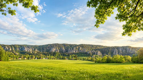 Meadow with a view of the Adršpach Rocks