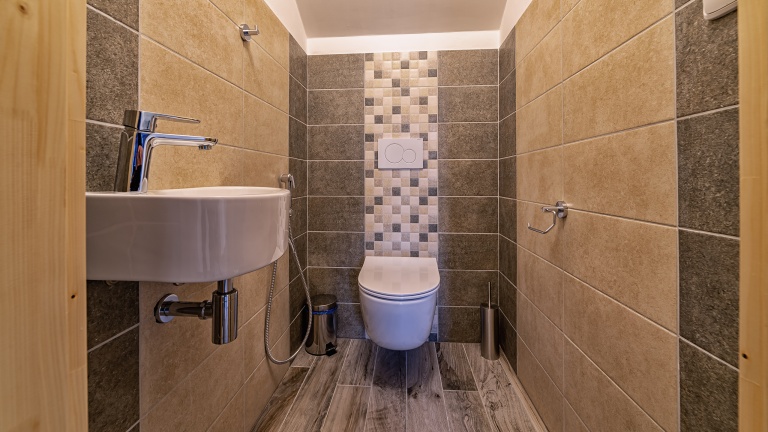 Ground-floor toilet
